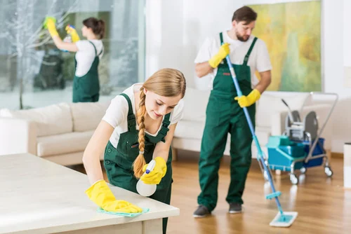 https://bensonmovers.com/wp-content/uploads/2023/02/housekeeping-saffing.webp